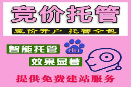 行业领先企业的百度竞价代运营经验分享